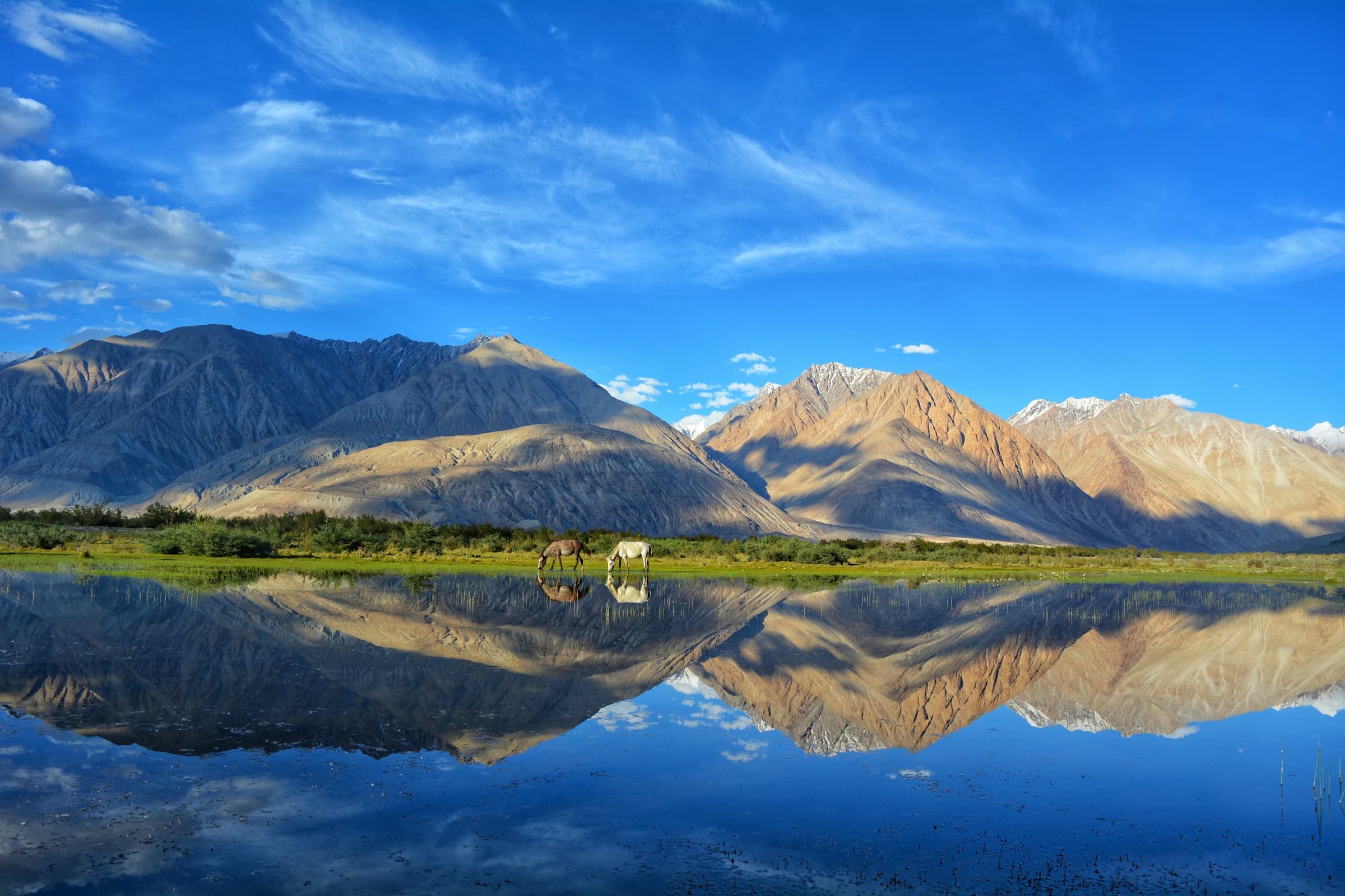 Srinagar – Kargil – Lamayuru – Leh – Nubra Valley – Pangong Lake – Sonamarg