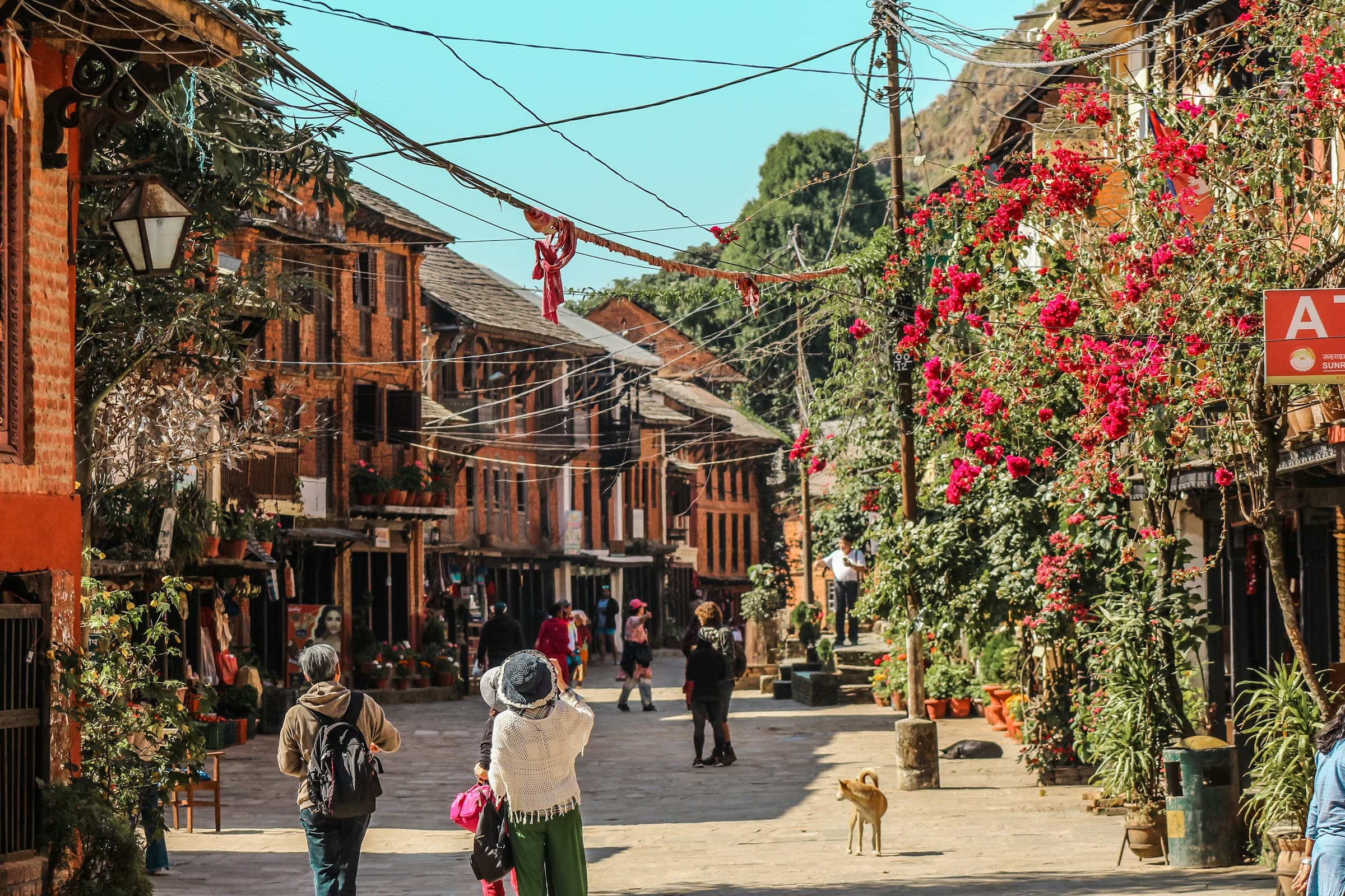 Nepal Explorer - image 2