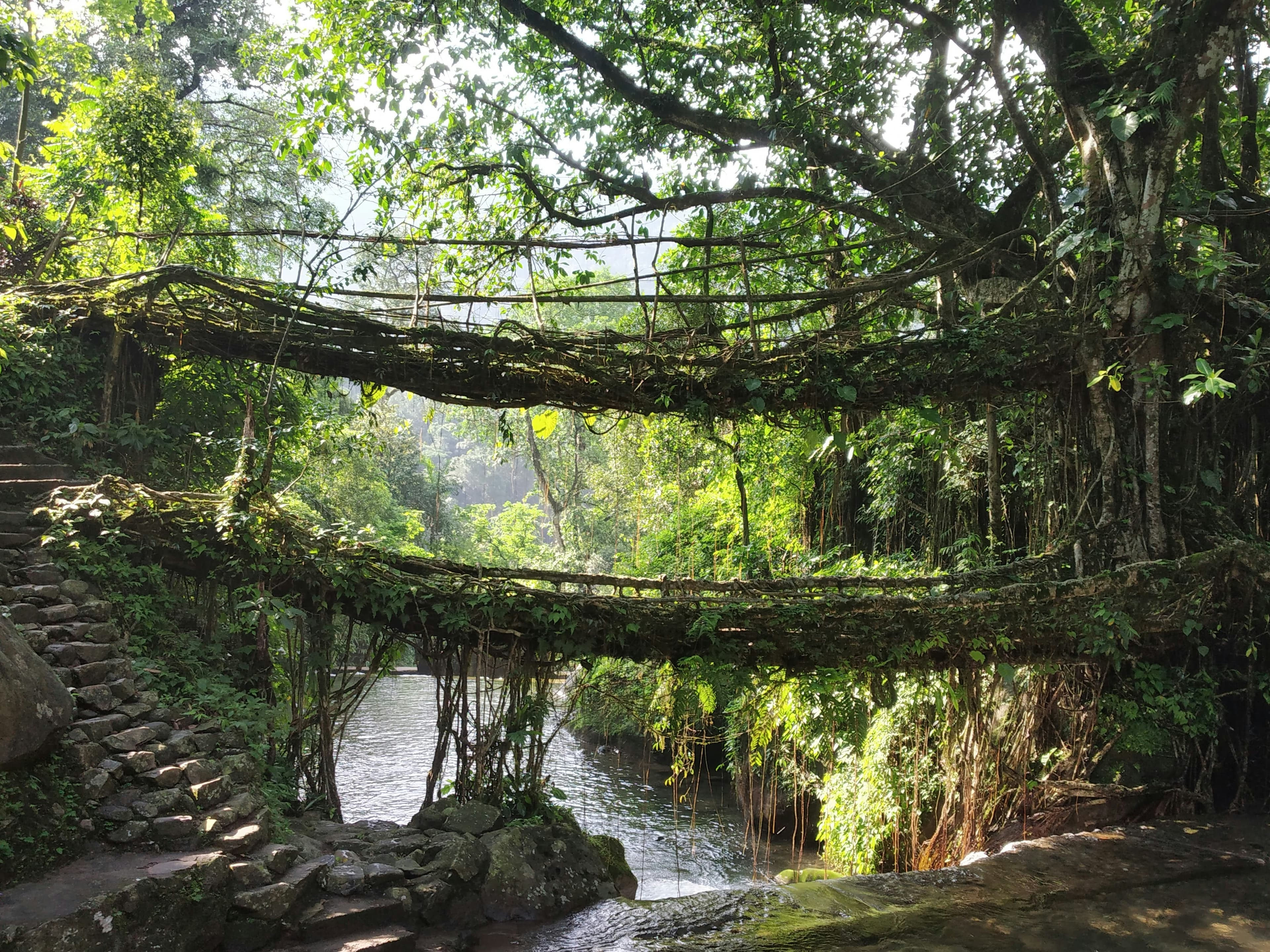 Shillong (2N) - Guwahati (1N)