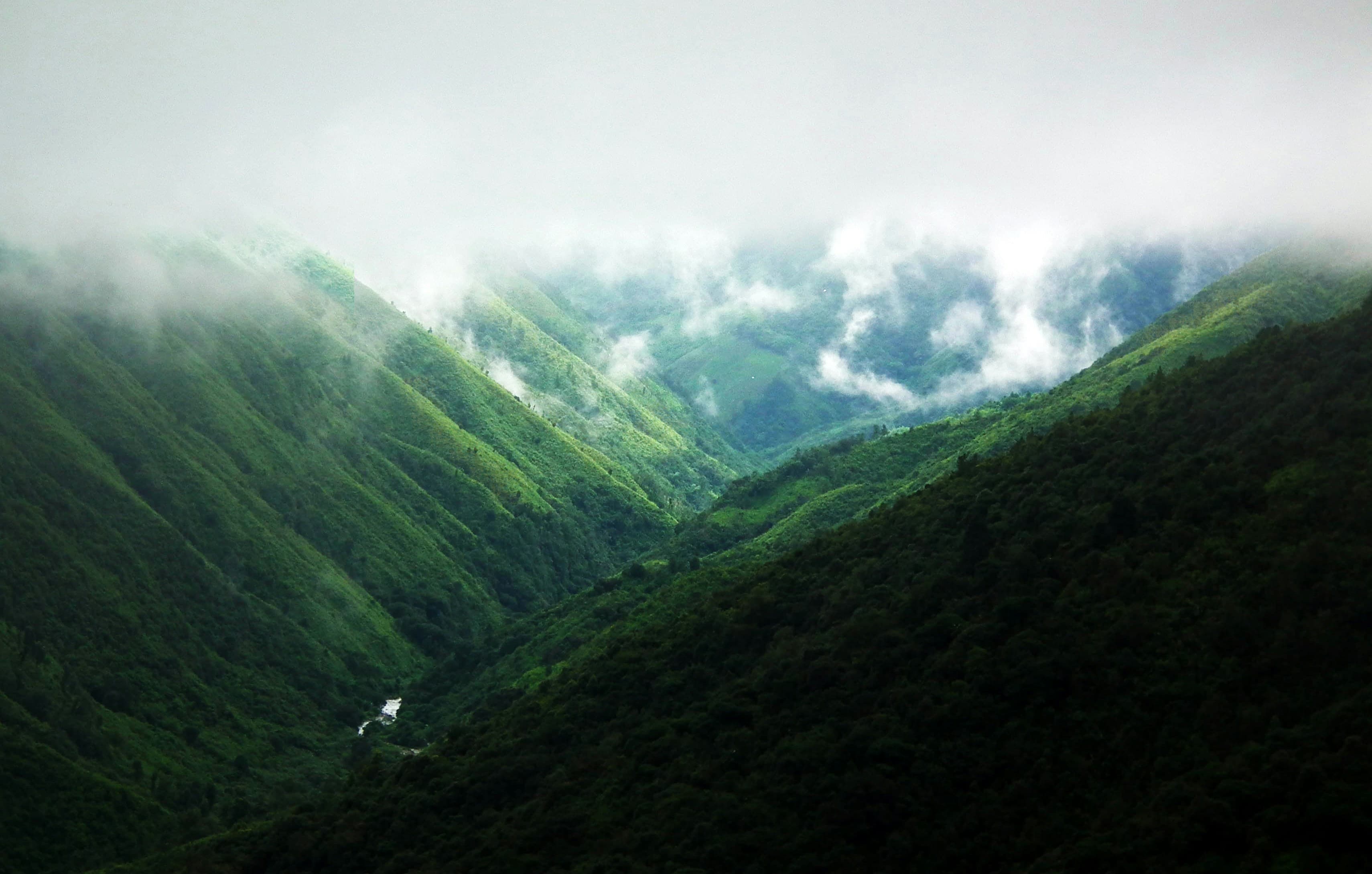 Kaziranga (2N) - Guwahati (1N)