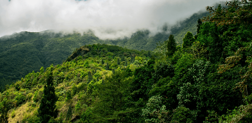 Sandakphu